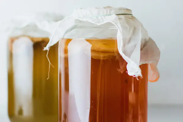 kombucha tea health benefits